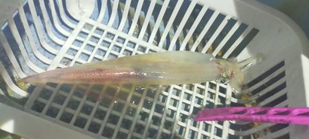 渋くなってきた