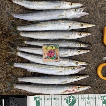 A.P.Pフィッシングガイドサービス　雨の…