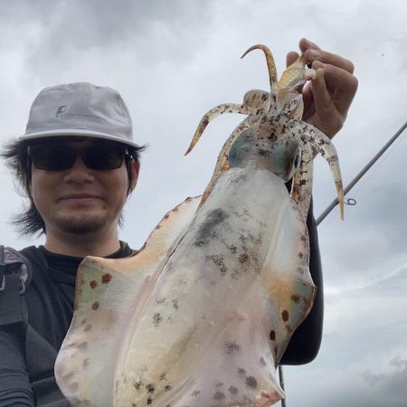 A.P.Pフィッシングガイドサービス　デストロイモードでアオリイカをRIDEON！となる