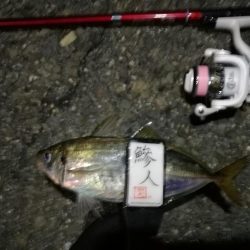 2021/08/02 南港アジング