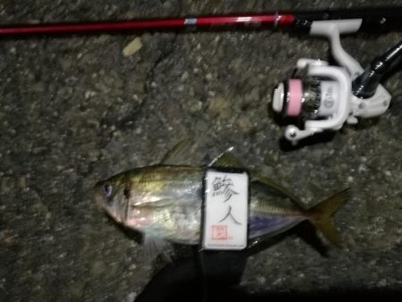 2021/08/02 南港アジング