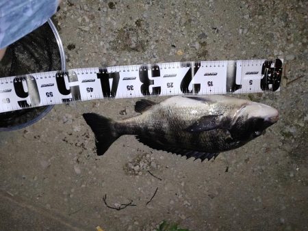 常吉大橋下にて