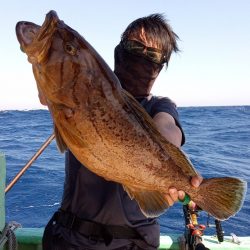 康仁丸・ジギング・泳がせ釣り、釣り果