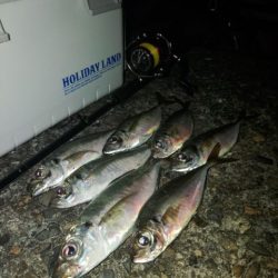 フロートゲーム～