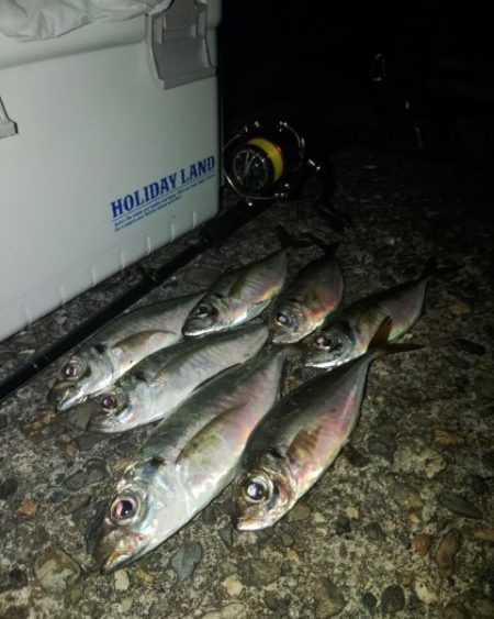 フロートゲーム～