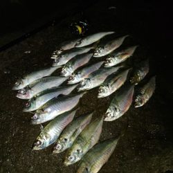 フロートゲーム～