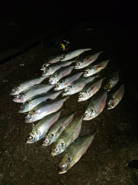 フロートゲーム～