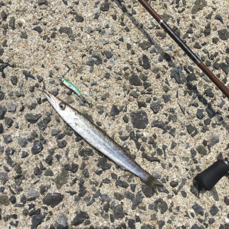 A.P.Pフィッシングガイドサービス　メタ…