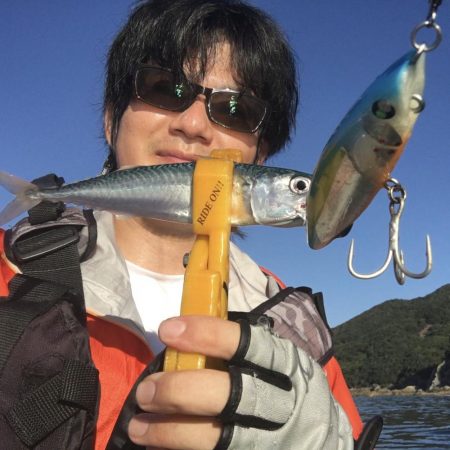 長崎　上五島　A.P.Pフィッシングガイドサービス　サバのナブラ発生