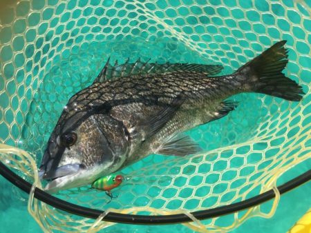 長崎　上五島　A.P.Pフィッシングガイド…