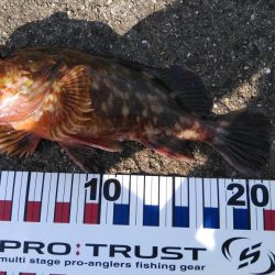 子供と一緒に釣り