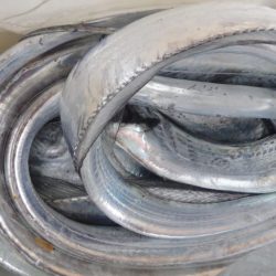 タチウオ　16時から31時まで釣行