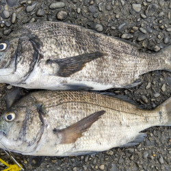 苦潮のなか、なんとか二枚