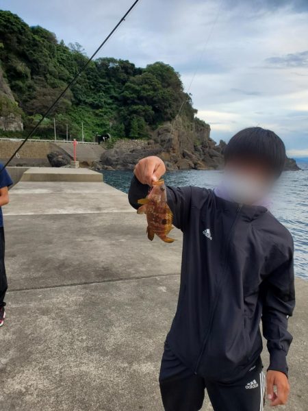 初めての日本海