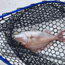 大雨のあと　その2