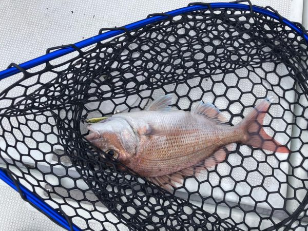 大雨のあと　その2