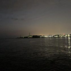 困った時のガシラ様