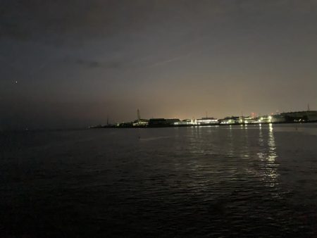 困った時のガシラ様