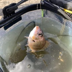 YES!ジギング NO!ぶっこみ