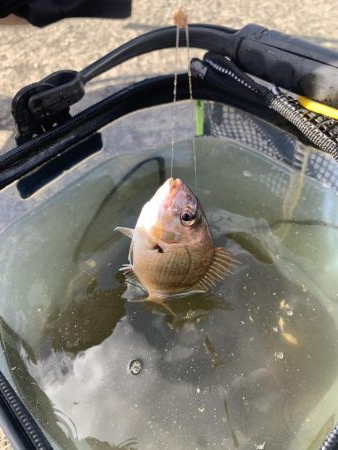 YES!ジギング NO!ぶっこみ