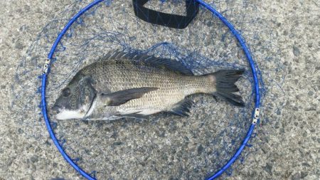 くろねこ流 紀州釣りに挑戦！！