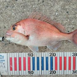 小豆島遠征part2