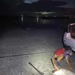 浅野漁港 アナゴ