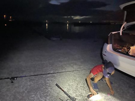 浅野漁港 アナゴ