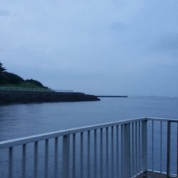 最近釣れてないなぁ