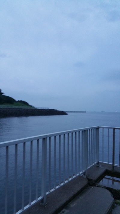 最近釣れてないなぁ