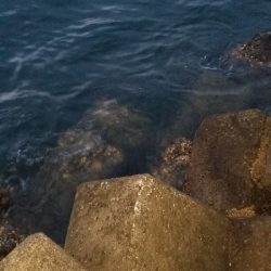 久しぶりのワインド　タチウオGET