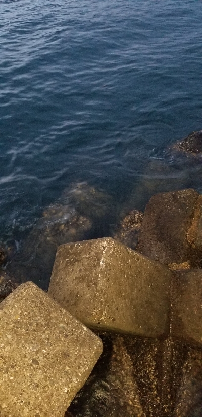 久しぶりのワインド　タチウオGET