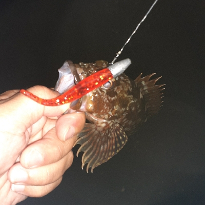 波高めでも釣り