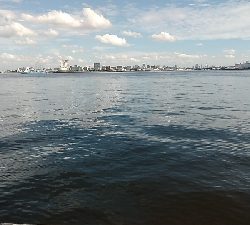 イガイやフジツボでも釣れました