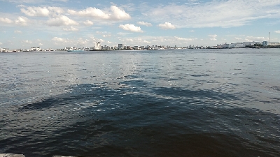 イガイやフジツボでも釣れました