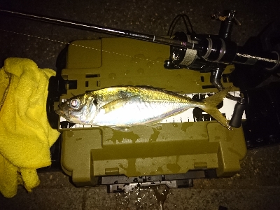 ここは休日は釣り堀状態ですね。