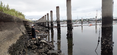 のべ竿でハゼ爆釣