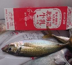 久しぶりの雨上がり