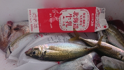 久しぶりの雨上がり