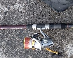 ベタ凪でヒラスズキ