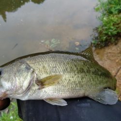 朝からハイプレッシャー！！