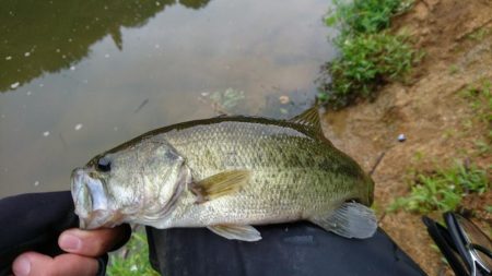 朝からハイプレッシャー！！