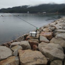 室津のキス釣り