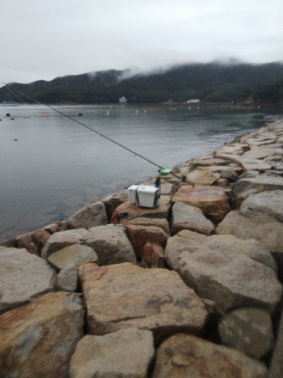 室津のキス釣り