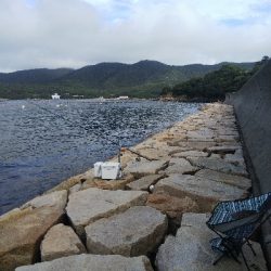 室津のキス釣り