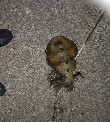 久しぶりに、行ってきました。