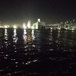 夜釣り