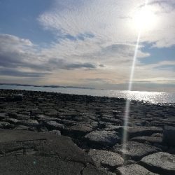 久しぶりの釣行