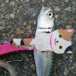 『釣りデビュー(´▽`)』213