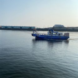 キス釣り、ちょい投げ